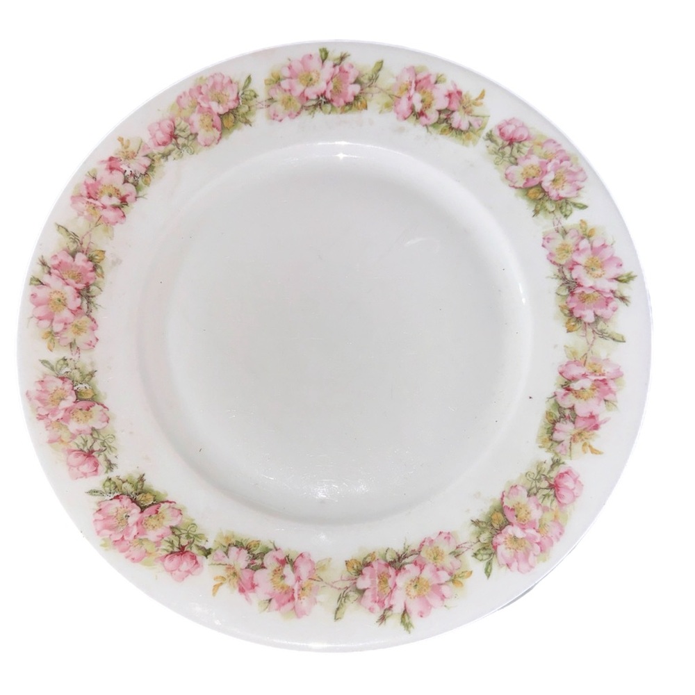 Antique Hand Painted Pink Rose Border Dinner Plate, 9.75” PK Silesia-6 Available